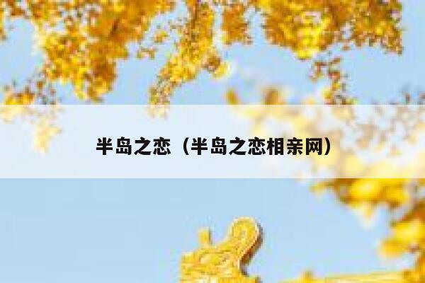 半岛之恋（半岛之恋相亲网） 第1张