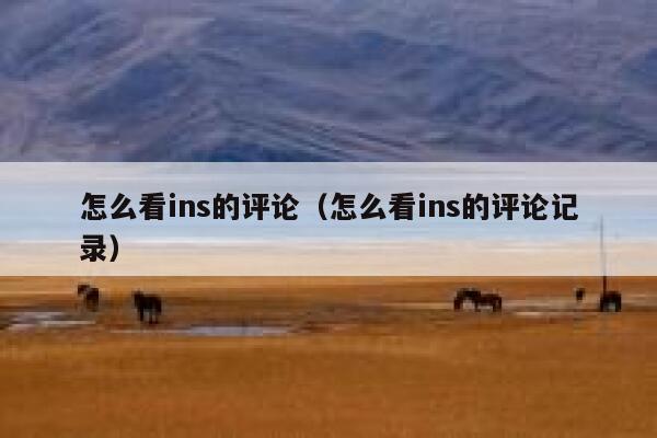 怎么看ins的评论（怎么看ins的评论记录） 第1张