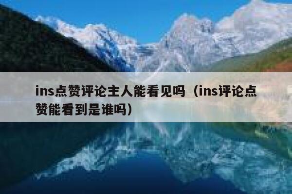 ins点赞评论主人能看见吗（ins评论点赞能看到是谁吗） 第1张