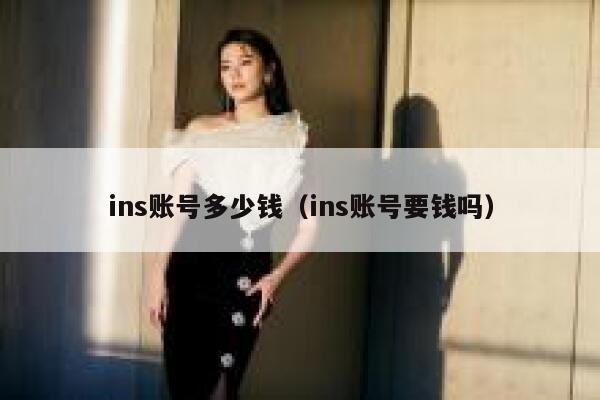 ins账号多少钱（ins账号要钱吗） 第1张