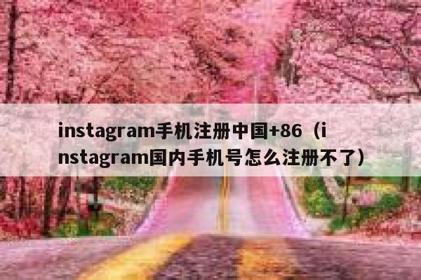 instagram手机注册中国+86（instagram国内手机号怎么注册不了） 第1张