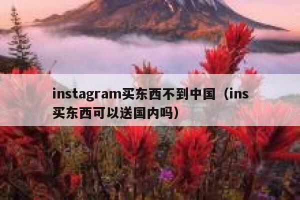 instagram买东西不到中国（ins买东西可以送国内吗） 第1张