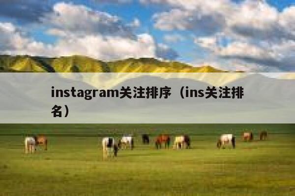 instagram关注排序（ins关注排名） 第1张