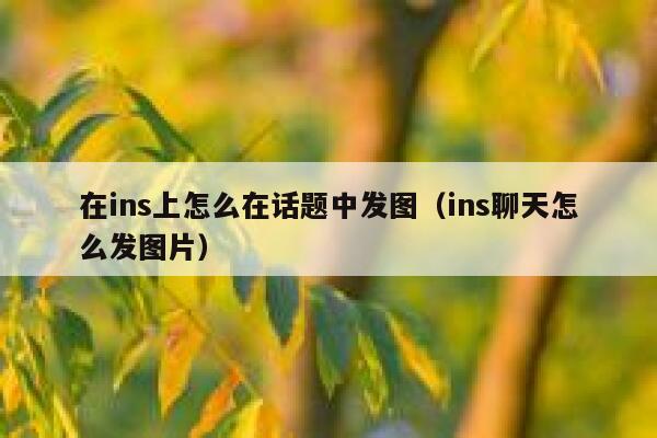 在ins上怎么在话题中发图（ins聊天怎么发图片） 第1张