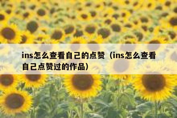 ins怎么查看自己的点赞（ins怎么查看自己点赞过的作品） 第1张