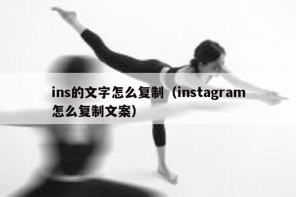 ins的文字怎么复制（instagram怎么复制文案） 第1张