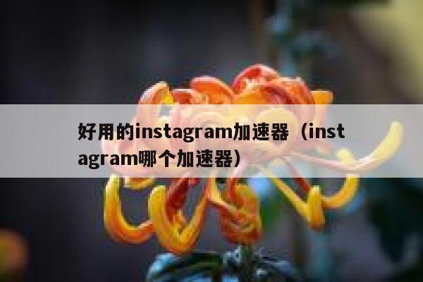 好用的instagram加速器(instagram哪个加速器) 第1张 好用的instagram加速器(instagram哪个加速器) 第1张