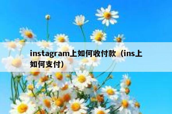 instagram上如何收付款（ins上如何支付） 第1张