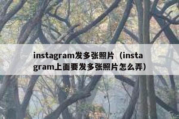 instagram发多张照片(instagram上面要发多张照片怎么弄) 第1张 instagram发多张照片(instagram上面要发多张照片怎么弄) 第1张