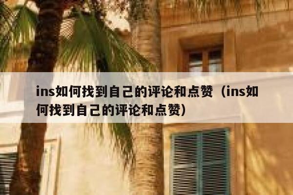 ins如何找到自己的评论和点赞（ins如何找到自己的评论和点赞） 第1张