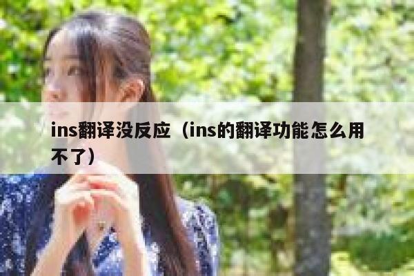 ins翻译没反应(ins的翻译功能怎么用不了) 第1张 ins翻译没反应(ins的翻译功能怎么用不了) 第1张