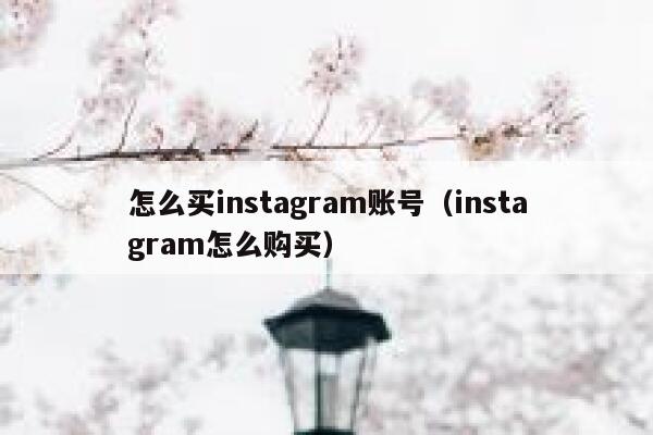 怎么买instagram账号（instagram怎么购买） 第1张