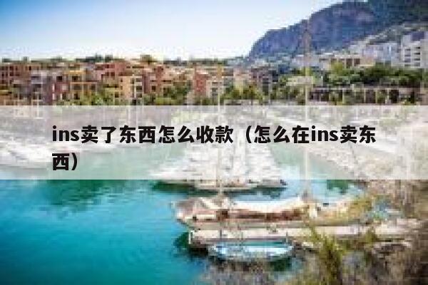 ins卖了东西怎么收款（怎么在ins卖东西） 第1张