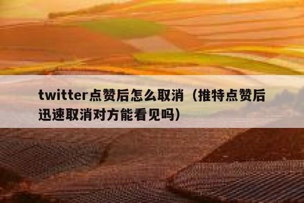 twitter点赞后怎么取消(推特点赞后迅速取消对方能看见吗) 第1张 twitter点赞后怎么取消(推特点赞后迅速取消对方能看见吗) 第1张