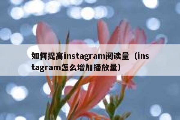如何提高instagram阅读量(instagram怎么增加播放量) 第1张 如何提高instagram阅读量(instagram怎么增加播放量) 第1张