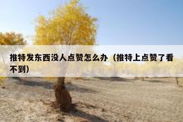 推特发东西没人点赞怎么办（推特上点赞了看不到） 第1张