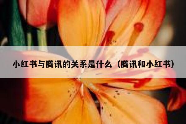 小红书与腾讯的关系是什么（腾讯和小红书） 第1张
