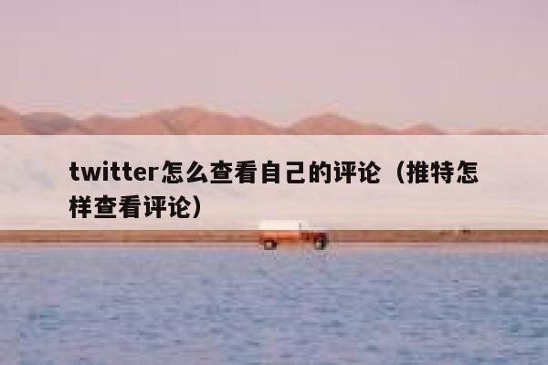 twitter怎么查看自己的评论（推特怎样查看评论） 第1张