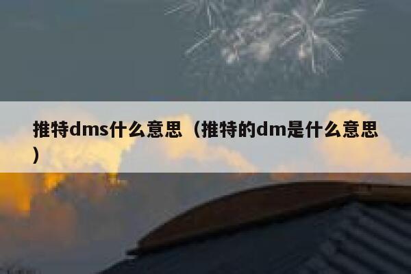 推特dms什么意思(推特的dm是什么意思) 第1张 推特dms什么意思(推特的dm是什么意思) 第1张