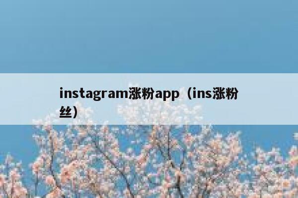 instagram涨粉app（ins涨粉丝） 第1张