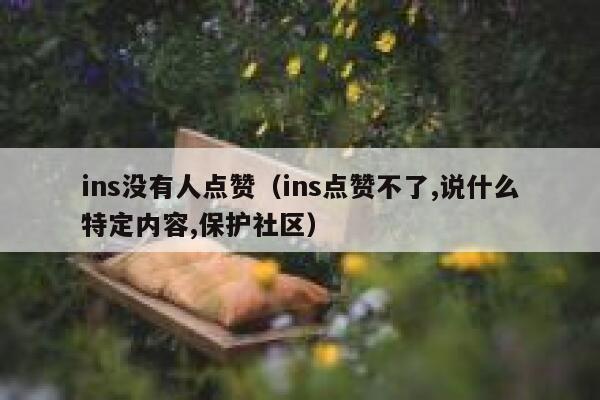 ins没有人点赞(ins点赞不了,说什么特定内容,保护社区) 第1张 ins没有人点赞(ins点赞不了,说什么特定内容,保护社区) 第1张