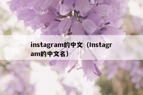 instagram的中文(Instagram的中文名) 第1张 instagram的中文(Instagram的中文名) 第1张