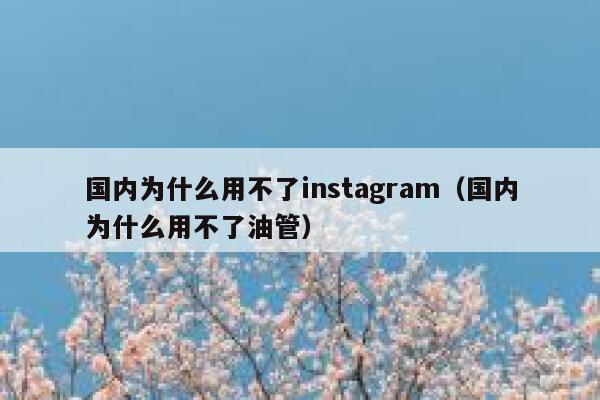 国内为什么用不了instagram(国内为什么用不了油管) 第1张 国内为什么用不了instagram(国内为什么用不了油管) 第1张