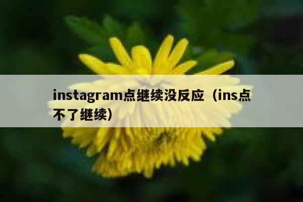 instagram点继续没反应（ins点不了继续） 第1张