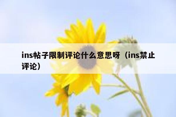 ins帖子限制评论什么意思呀（ins禁止评论） 第1张