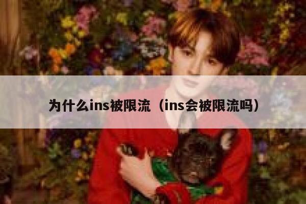 为什么ins被限流（ins会被限流吗） 第1张