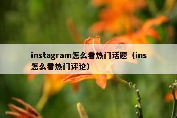 instagram怎么看热门话题（ins怎么看热门评论） 第1张