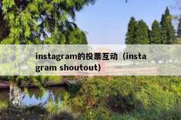instagram的投票互动(instagram shoutout) 第1张 instagram的投票互动(instagram shoutout) 第1张