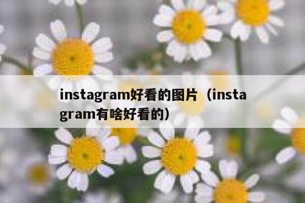 instagram好看的图片(instagram有啥好看的) 第1张 instagram好看的图片(instagram有啥好看的) 第1张