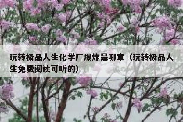 玩转极品人生化学厂爆炸是哪章(玩转极品人生免费阅读可听的) 第1张 玩转极品人生化学厂爆炸是哪章(玩转极品人生免费阅读可听的) 第1张