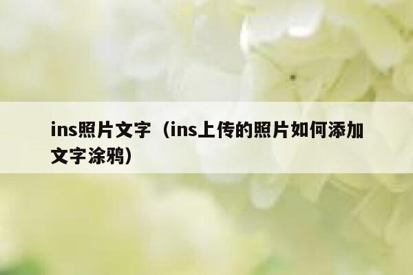 ins照片文字(ins上传的照片如何添加文字涂鸦) 第1张 ins照片文字(ins上传的照片如何添加文字涂鸦) 第1张