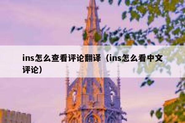 ins怎么查看评论翻译（ins怎么看中文评论） 第1张