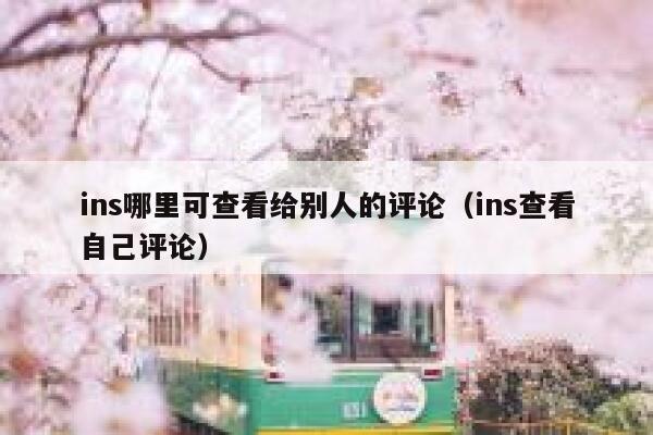ins哪里可查看给别人的评论（ins查看自己评论） 第1张