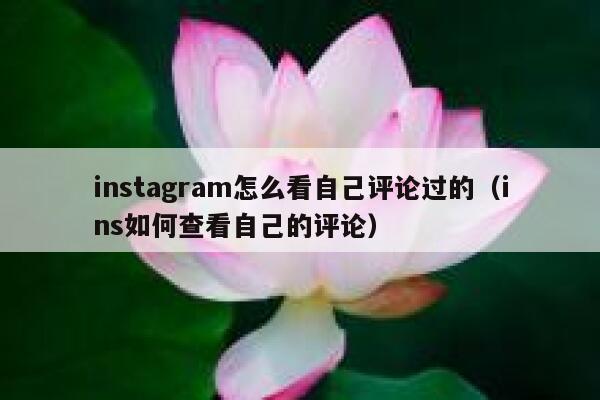instagram怎么看自己评论过的(ins如何查看自己的评论) 第1张 instagram怎么看自己评论过的(ins如何查看自己的评论) 第1张