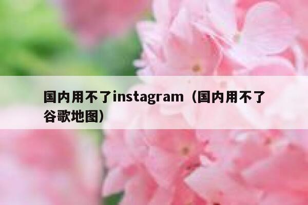 国内用不了instagram(国内用不了谷歌地图) 第1张 国内用不了instagram(国内用不了谷歌地图) 第1张