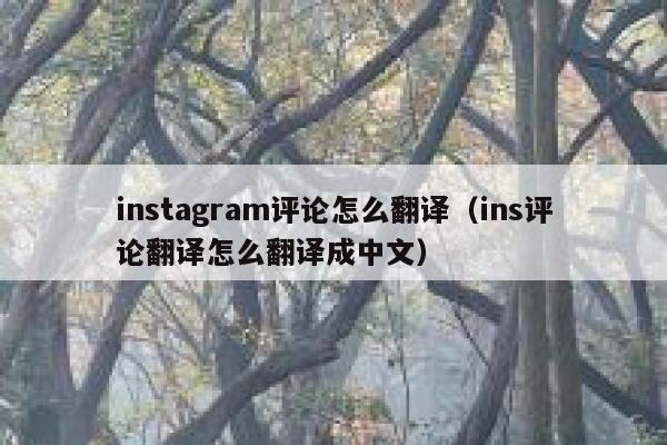 instagram评论怎么翻译（ins评论翻译怎么翻译成中文） 第1张