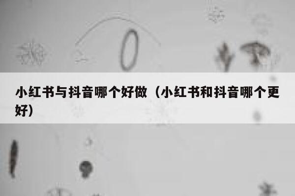 小红书与抖音哪个好做(小红书和抖音哪个更好) 第1张 小红书与抖音哪个好做(小红书和抖音哪个更好) 第1张