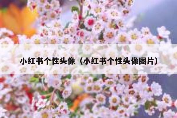 小红书个性头像（小红书个性头像图片） 第1张