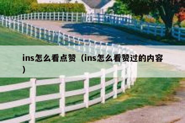 ins怎么看点赞（ins怎么看赞过的内容） 第1张