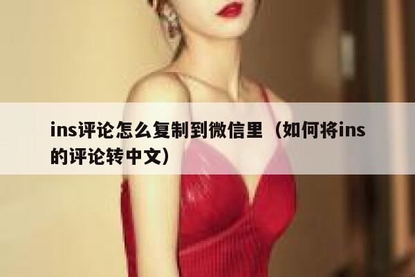 ins评论怎么复制到微信里（如何将ins的评论转中文） 第1张