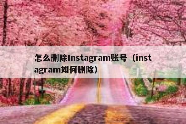 怎么删除Instagram账号(instagram如何删除) 第1张 怎么删除Instagram账号(instagram如何删除) 第1张