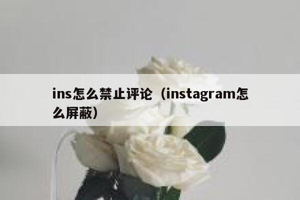 ins怎么禁止评论（instagram怎么屏蔽） 第1张