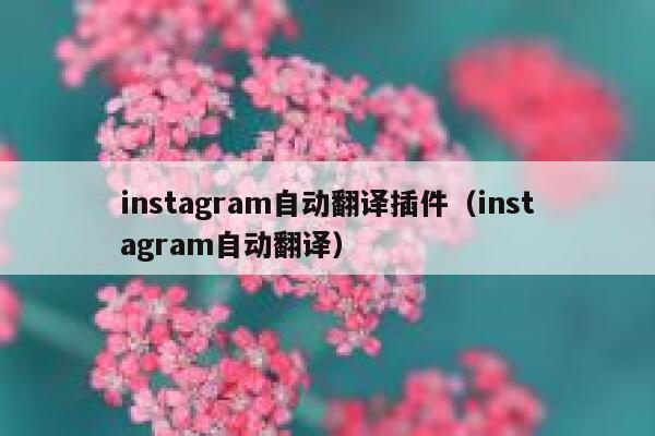 instagram自动翻译插件（instagram自动翻译） 第1张