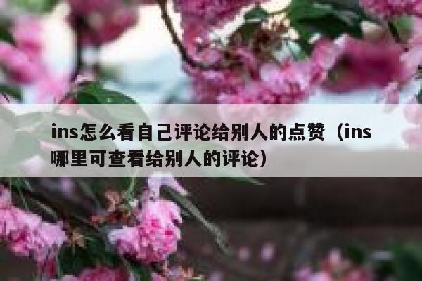 ins怎么看自己评论给别人的点赞(ins哪里可查看给别人的评论) 第1张 ins怎么看自己评论给别人的点赞(ins哪里可查看给别人的评论) 第1张