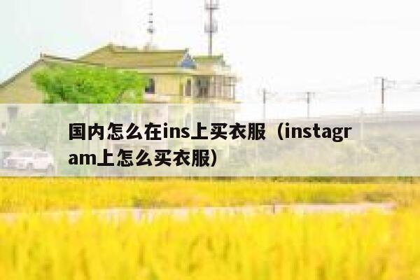 国内怎么在ins上买衣服（instagram上怎么买衣服） 第1张