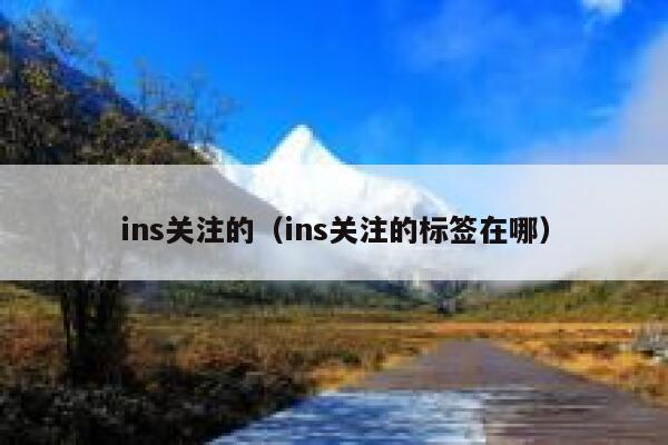 ins关注的（ins关注的标签在哪） 第1张